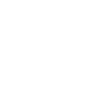 ExeBlr's emblem