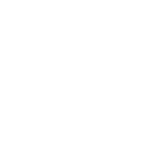 stumpfsinnig's emblem