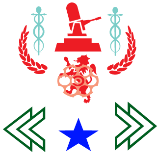 darkstarno2013's emblem