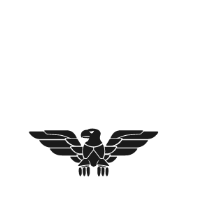 163_REegIioN_163's emblem