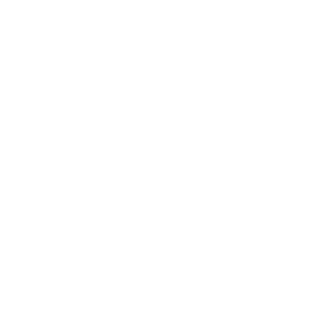 1294529763's emblem