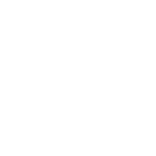 loganwahlstrom's emblem