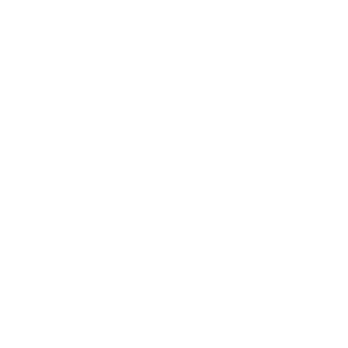 Redmy220's emblem