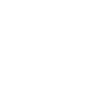 DiamondRyce's emblem