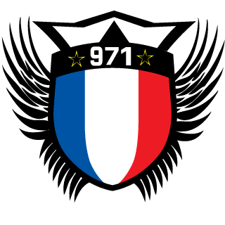 Psykoman971's emblem