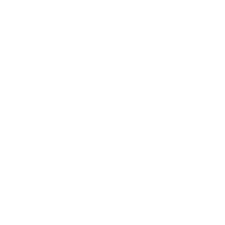 _C_H_N_Yezuijiu's emblem