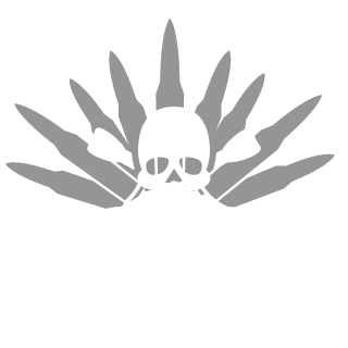 Bicsi84's emblem