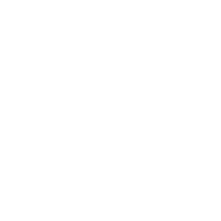 Bowser6666's emblem