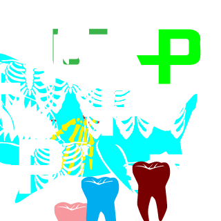 natanbernardi's emblem