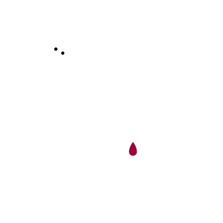 FlyGods's emblem