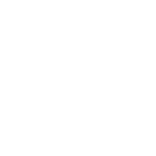 Silverhand033's emblem