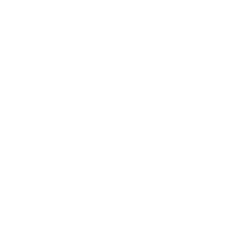 LL0YD_CHR15TM4S's emblem