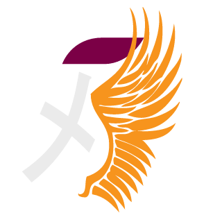 SmerbevX's emblem