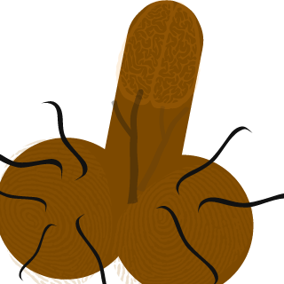 Space_ball_playa's emblem