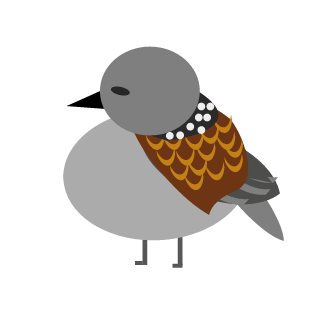 WhiteTurtlez's emblem