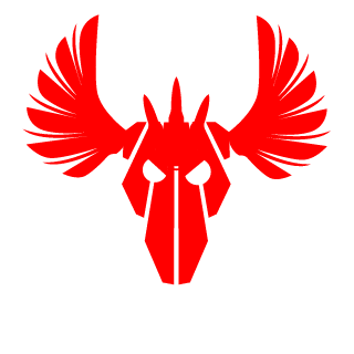rAndOmcyd's emblem