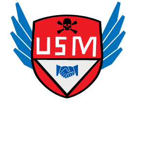 RAFINHA0713's emblem