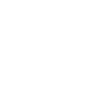llNyannya's emblem