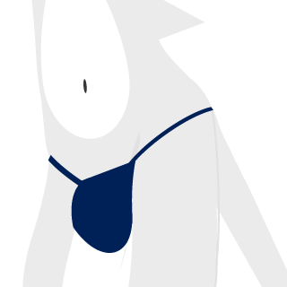 SirBluePandaOwO's emblem