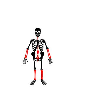 AS-KING_SHOOT-IQ's emblem