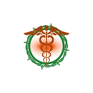 The0ni0nKnight's emblem