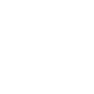 BiizZii's emblem