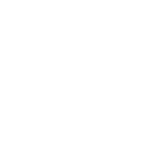DbIWI_so_MNOI's emblem