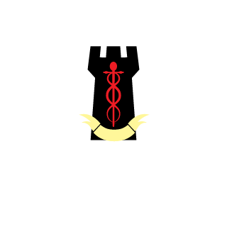 123Kampfzwerg321's emblem