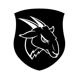 WapVEVO's emblem