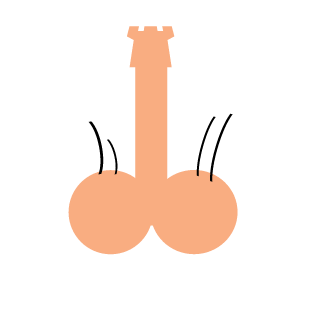 lina_bbbbbb's emblem