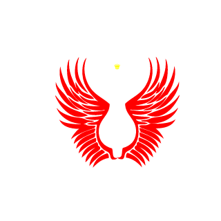 19Goddam48's emblem