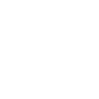 SANCHEZero's emblem
