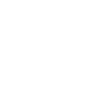 DoskStar's emblem