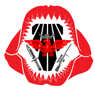 Combat_Ace9000's emblem