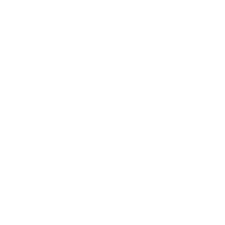 -Last_Light-1's emblem