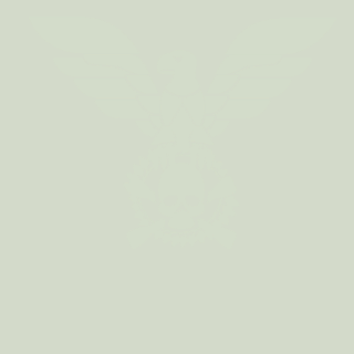 PlayCom's emblem