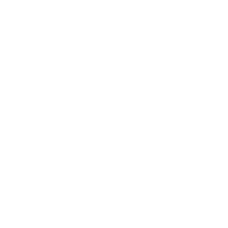 921dccd5febc1a19's emblem