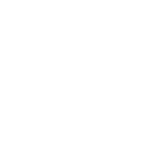 estovir8's emblem