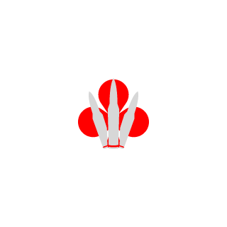 peperball's emblem