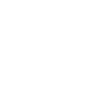 Psylent-warrior's emblem