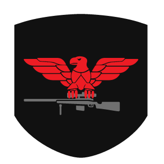 SeanCorrgs's emblem