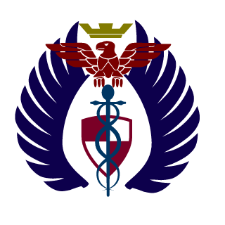 azerustheking96's emblem