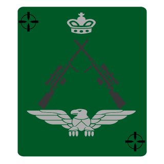 BiielSk8's emblem