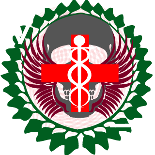 6Slendi9's emblem