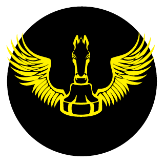 Shadow_Raven_00's emblem