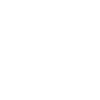 2RBlNA's emblem