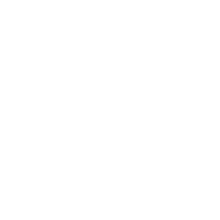 MERCENARIO-DSB's emblem