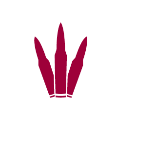 Chefkochmaster's emblem