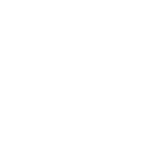 Zet55348188's emblem