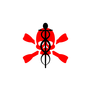 DemonKing112233's emblem